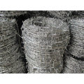 2017 Cheap Weight Barbed Wire for Hot Sale